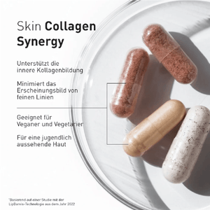 Advanced Nutrition Programme Skin Collagen Synergy - Belrue
