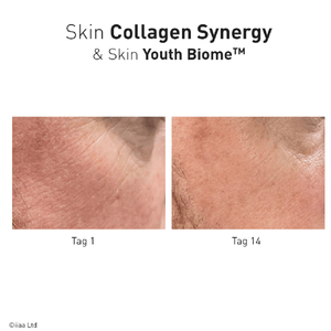Advanced Nutrition Programme Skin Collagen Synergy - Belrue