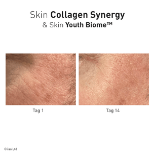 Advanced Nutrition Programme Skin Collagen Synergy - Belrue