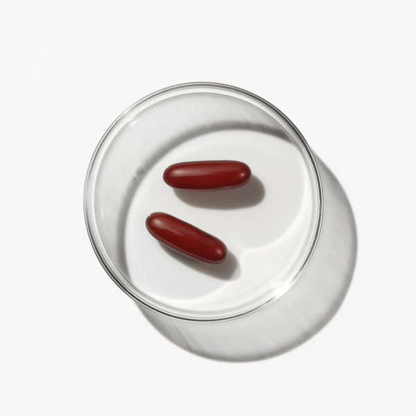 Advanced Nutrition Programme - Skin Moisture Lock - Belrue