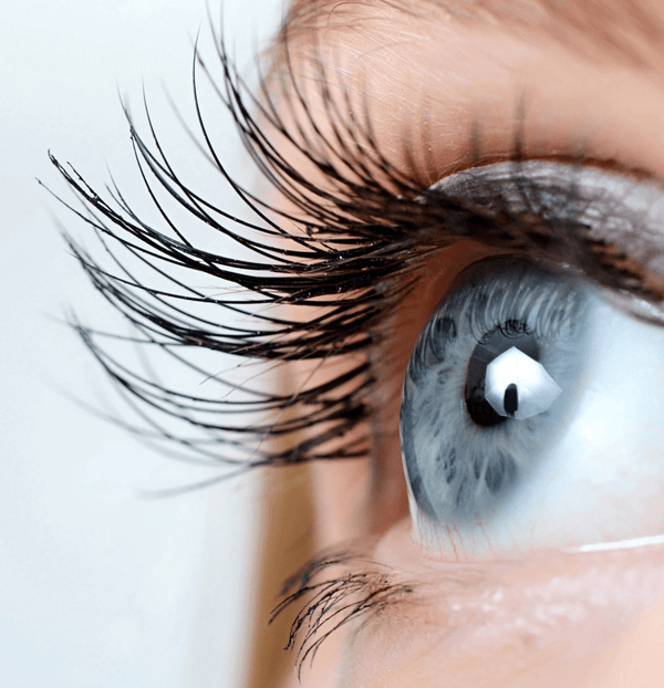 Wimpern färben - Belrue